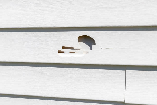 Best Custom Trim and Detailing for Siding  in Waldwick, NJ