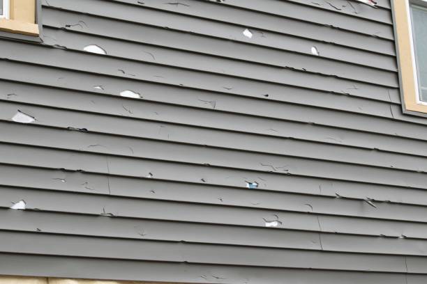 Affordable siding repair and maintenance services in Waldwick, NJ